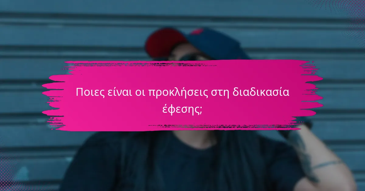 Ποιες είναι οι προκλήσεις στη διαδικασία έφεσης;